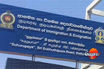 ආපදාවට ලක්වූ විදේශිකයින්ට වීසා පහසුකම්