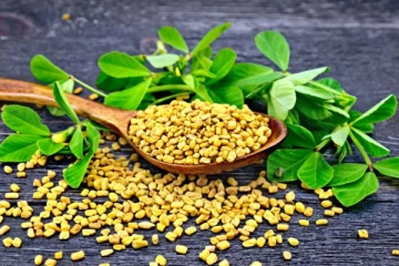 ஒரே ஒரு கைப்பிடி வெந்தயம்! உடம்பில் தாறுமாறாக நிகழும் அதிசயம்