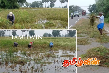 கிளிநொச்சியில் பாதிக்கப்பட்ட விவசாயிகளுக்கான நிதி ஒதுக்கீடு: முன்வைக்கப்பட்டுள்ள குற்றச்சாட்டு