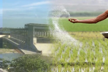 யாழில் உதயமாகும் பாரிய உரத் தொழிற்சாலை