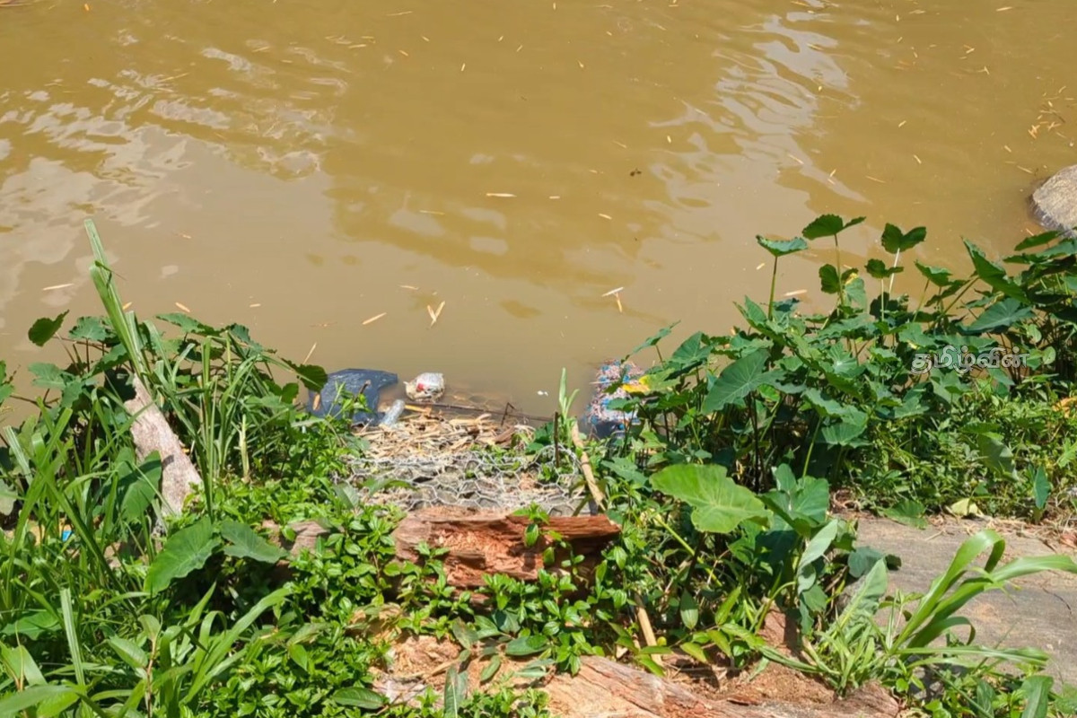 ஹட்டன் பகுதியில் ஆற்றில் மிதந்து வந்த பெண்ணின் சடலம் - தீவிரப்படுத்தப்படும் விசாரணை | Woman S Body Found Floating In River Hatton Area