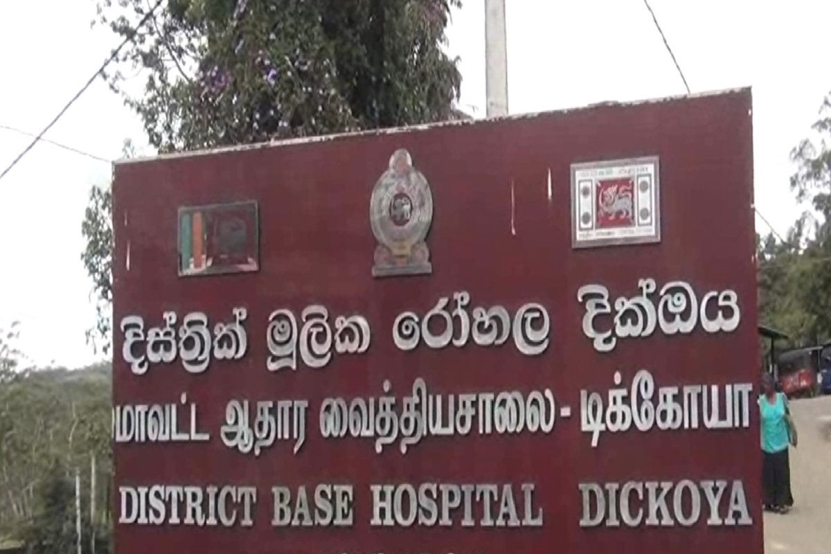 குளவி கொட்டுக்கு இலக்கான 10 தோட்டத் தொழிலாளர்கள் வைத்தியசாலையில் அனுமதி | 10 Plantation Workers Admitted To Hospital குளவி கொட்டுக்கு இலக்கான 10 தோட்டத் தொழிலாளர்கள் வைத்தியசாலையில் அனுமதி | 10 Plantation Workers Admitted To Hospital