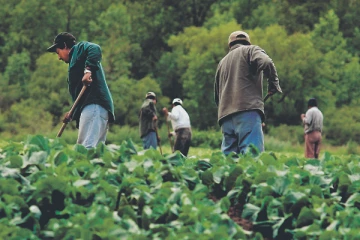 தற்காலிக வெளிநாட்டுப் பணியாளர்களுக்கு கட்டுப்பாடுகள்: கியூபெக் மாகாணம் முடிவு