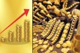 இன்று தங்கத்தின் விலையில் சற்று உயர்வு