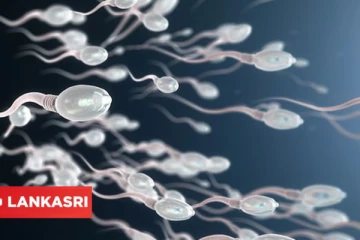 கொரோனா வைரஸ் தாக்கிய ஆண்களுக்கு ஆண்மை குறைவு ஏற்படுமா?