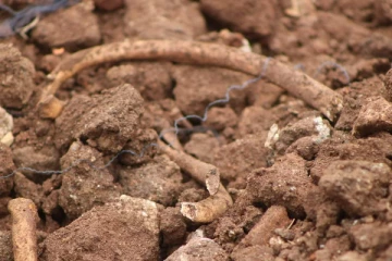 தமிழர் பகுதியில் மனித எச்சங்கள் கண்டுபிடிப்பு (Video)