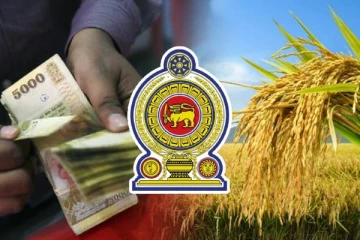 சலுகை வட்டியில் கடன் பெறவுள்ள தரப்பினர்: கிடைத்தது அமைச்சரவை அங்கீகாரம்