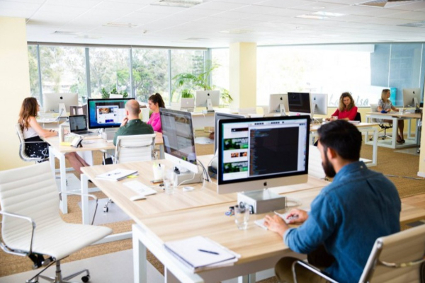 தனியார் துறையினருக்கு சிறிலங்கா அரசாங்கம் விடுத்துள்ள மகிழ்ச்சித் தகவல்! - ஐபிசி தமிழ்