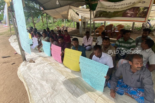 மட்டக்களப்பு மேய்ச்சல் தரை விவகாரம்: பண்ணையாளர்கள் விடுத்துள்ள எச்சரிக்கை (Photos) | Batticaloa Pasture Issue Farmers Warning