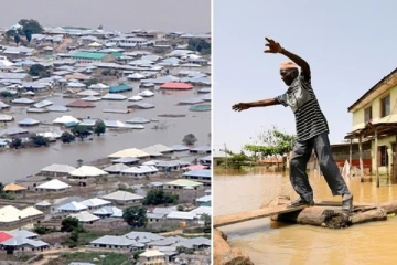 11 லட்சம் பேர் வாழ்வாதாரத்தை இழந்து இடம்பெயர்வு! நைஜர் வெள்ளப்பெருக்கில் 399 பேர் உயிரிழப்பு