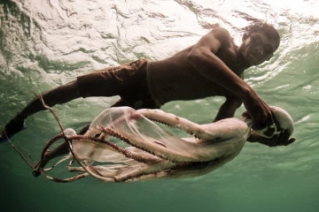 දිය යට ජීවත් වන අපූරු බජාවූ වැසියන්. (VIDEO)