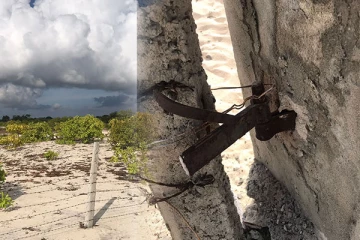 யாழில் மரமுந்திரிகை தோட்ட நுழைவாயில் கதவுகள் திருட்டு