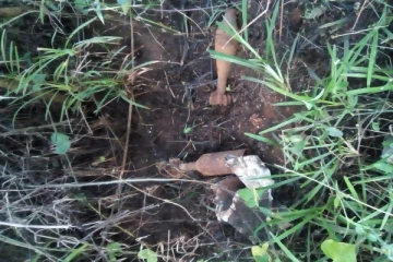 வவுனியாவில் மோட்டார் குண்டுகள் மற்றும் துப்பாக்கி மீட்பு (Photos)