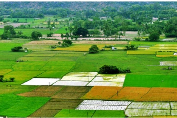 புகையிரத திணைக்களத்துக்குச் சொந்தமான 14ஆயிரம் ஏக்கரில் பயிர்ச்செய்கை