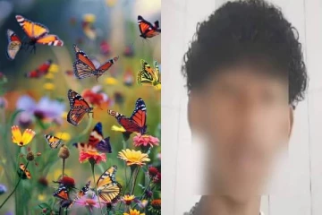 ஆன்லைன் சேலஞ்ச்; பட்டாம்பூச்சியை அரைத்து உடலில் செலுத்திய சிறுவன் - இறுதியில் நடந்த விபரீதம்