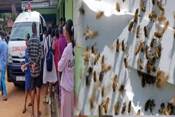 குளவிக்கொட்டுக்கு இலக்கான 50 மாணவர்கள் மருத்துவமனையில் அனுமதி : மூவரின் நிலை கவலைக்கிடம்
