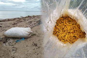 கடலில் மிதந்துவந்த 28 கிலோ மஞ்சள் மூடை மீட்பு