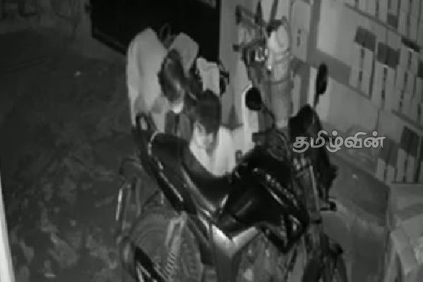 யாழில் வீட்டினுள் புகுந்து பெட்ரோல் திருட்டு: இணையத்தில் பரவும் காணொளி(Photo) | Video Petrol Theft Going Viral On The Internet