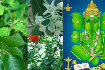 விநாயகர் சதுர்த்தி: 21 வகையான இலைகளைக் கொண்டு அர்ச்சனை செய்வதால் நடக்கும் அற்புதங்கள்