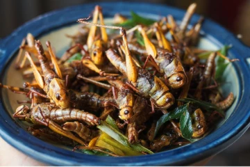 16 வகையான பூச்சிகளை உணவில் சேர்க்க அனுமதித்துள்ள பிரபல ஆசிய நாடு!