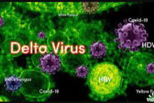 அடுத்த வைரசின் ஆட்டம் - டெல்டா வைரஸால் மீண்டும் முகக்கவசம் கட்டாயம்! | Israel Delta Plus Virus Increase Face Mask Must