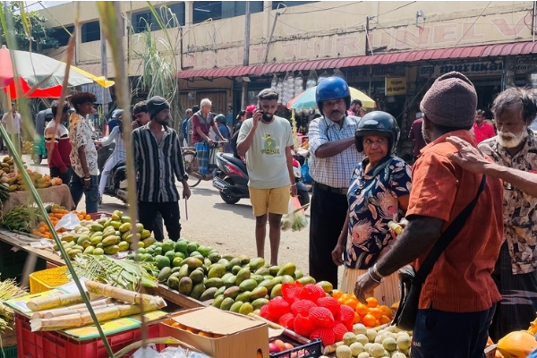 யாழில் களை கட்டும் பொங்கல் வியாபாரம் ; குவிந்த மக்கள் | Thai Pongal Business Is Booming In Jaffna