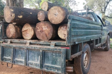 விசேட அதிரடி படையினரால் மரக்கடத்தல் முறியடிப்பு (Photos)