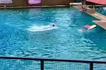 பலமுறை துன்புறுத்திய பயிற்சியாளரை தாக்கிய டால்பின்! வைரல் வீடியோ