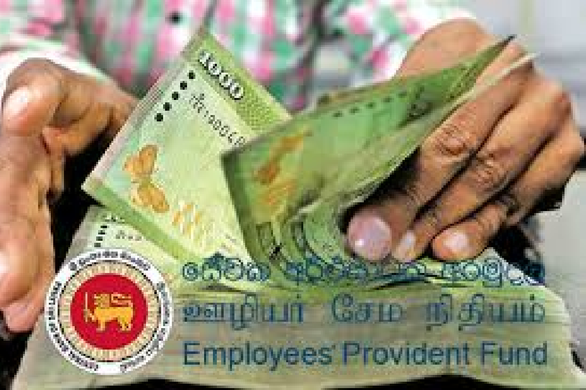 விருப்ப ஓய்வில் சென்ற மின்சார சபை ஊழியர்கள் நிர்க்கதி | Electricity Board Employees Not Compensated