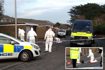 பிரித்தானியாவில் கொலை செய்யப்பட்ட 9 வயது சிறுமி: பதின்ம வயது சிறுவன் கைது