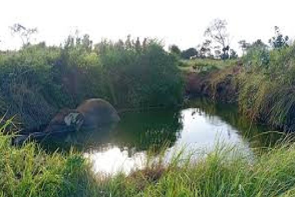 அனுராதபுரம் பயிர்ச்செய்கை கிணற்றிலிருந்து யானையொன்று உடலமாக மீட்பு | Elephant Carcass Recovered Cultivation Well அனுராதபுரம் பயிர்ச்செய்கை கிணற்றிலிருந்து யானையொன்று உடலமாக மீட்பு | Elephant Carcass Recovered Cultivation Well