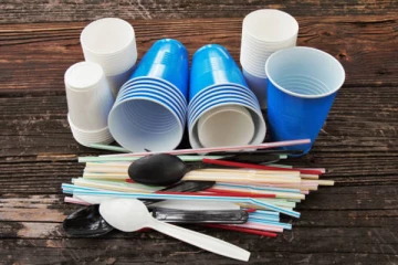 நியூயார்க்கில் பிளாஸ்டிக் பொருட்களை பயன்படுத்த கட்டுப்பாடு