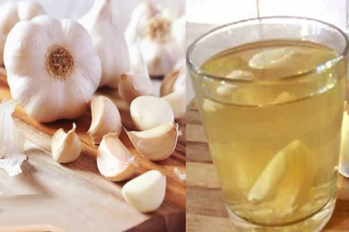 ஒவ்வொரு காலையும் பூண்டு தண்ணீர் குடிப்பதன் நன்மைகள் என்ன தெரியுமா? | Benefits Of Drinking Garlic Water Every Morning ஒவ்வொரு காலையும் பூண்டு தண்ணீர் குடிப்பதன் நன்மைகள் என்ன தெரியுமா? | Benefits Of Drinking Garlic Water Every Morning