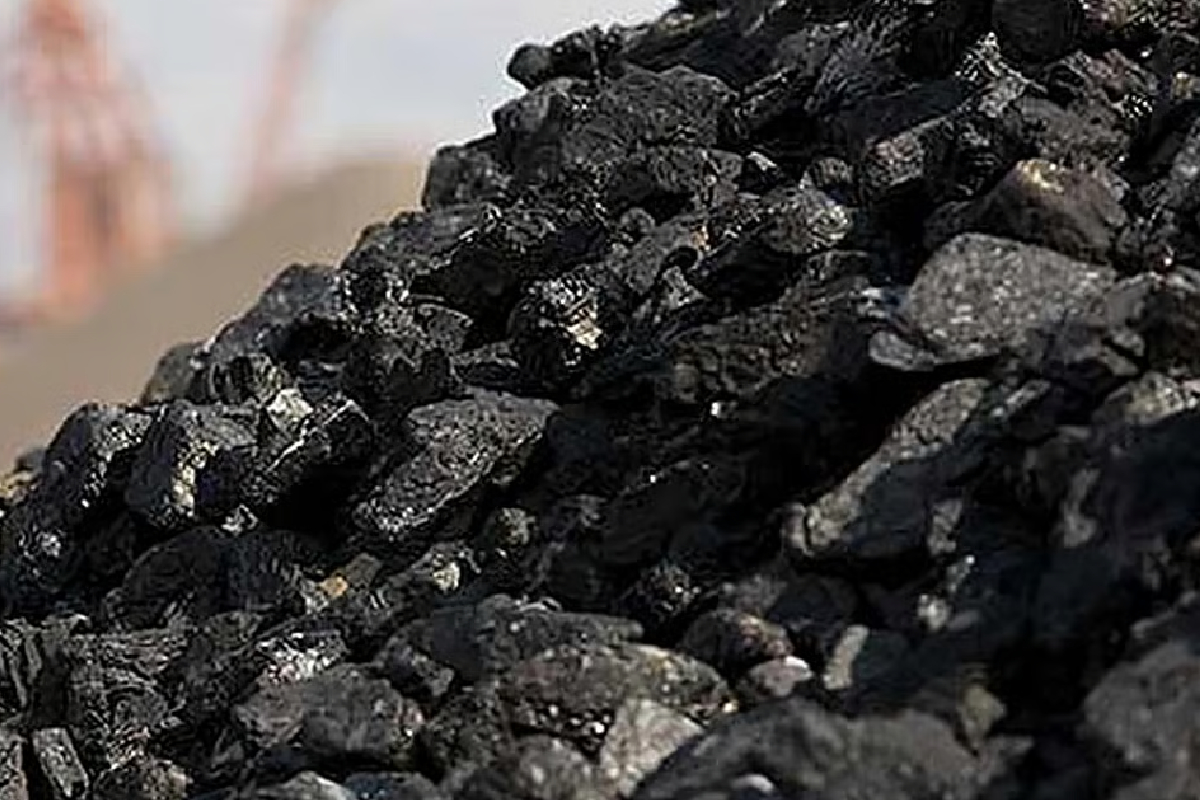 நிலக்கரி கொள்வனவில் 30 பில்லியன் ரூபா ஊழல் : மரிக்கார் சாடல் | 30 Billion Rupees Corruption In Coal Procurement