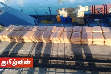எழுவைதீவு பகுதியில் 141 கிலோ கஞ்சா பொதிகள் மீட்பு