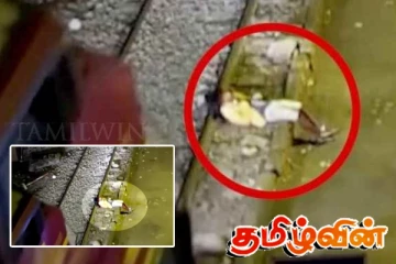 பெருவில் தொடருந்து மோதி உயிர் தப்பிய குடிமகன்