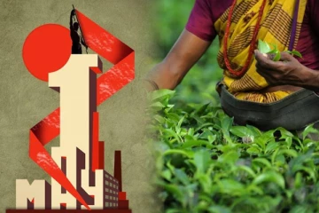 தொழிலாளர் தினம் அரசியல்வாதிகளின் தினமாக மாறியுள்ளது : மலையக தொழிலாளர் முன்னணி ஆதங்கம்