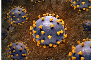 கனடாவில் ஆதிக்கம் செலுத்தும் ஜே1 திரிபு