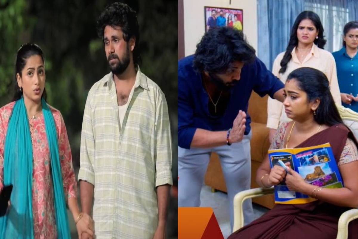 வாரா வாரம் நடக்கும் டிஆர்பி சண்டை... கடந்த வாரத்திற்கான போட்டியில் டாப் 5 இடம் பிடித்த சீரியல்கள் விவரம் | Week 11 Tamil Serials Trp Ratings Details வாரா வாரம் நடக்கும் டிஆர்பி சண்டை... கடந்த வாரத்திற்கான போட்டியில் டாப் 5 இடம் பிடித்த சீரியல்கள் விவரம் | Week 11 Tamil Serials Trp Ratings Details