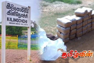 காட்டுப்பகுதியில் மறைத்து வைக்கப்பட்டிருந்த கஞ்சா பொதிகள் மீட்பு