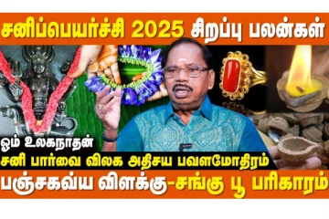 இந்த வருட சனிப்பெயர்ச்சி எப்படி அமைய போகிறது?அபூர்வ பலன்பெறும் 6 நட்சந்திரங்கள் யார்?