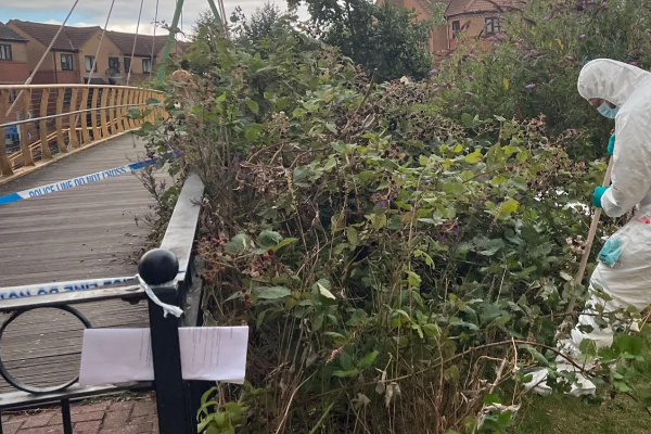 northampton-park-incident-second-person-arrest