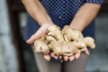 30 நாட்கள் தினமும் இஞ்சியை உணவில் சேர்த்து கொண்டால் இத்தனை நன்மையா?