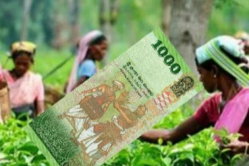 முடிவுக்கு வருகிறது 1000 ரூபா சம்பள விவகாரம்? உடன்பட்டன கம்பனிகள்