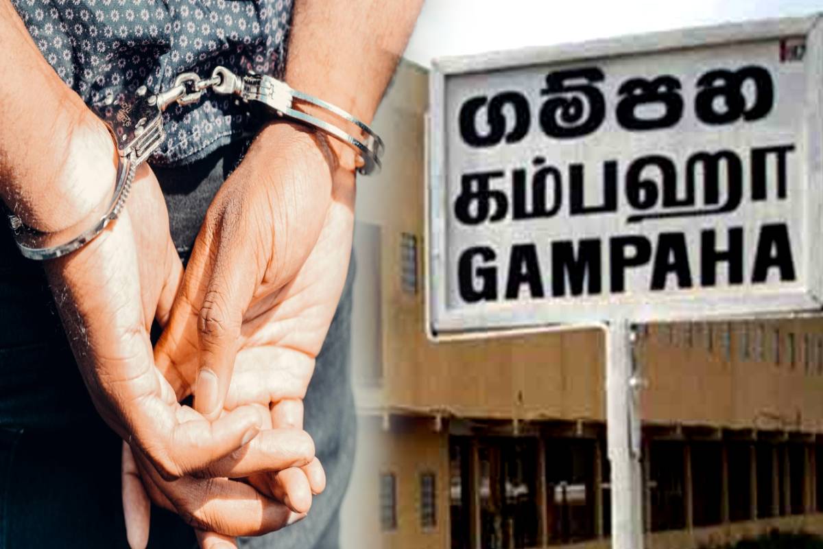 கம்பஹா பகுதியில் 2 கைக்குண்டுகளுடன் பல இலட்சம் பெறுமதியான பொருட்கள் மீட்பு - ஒருவர் கைது | 2 Hand Grenades Recovered In Gampaha Area கம்பஹா பகுதியில் 2 கைக்குண்டுகளுடன் பல இலட்சம் பெறுமதியான பொருட்கள் மீட்பு - ஒருவர் கைது | 2 Hand Grenades Recovered In Gampaha Area