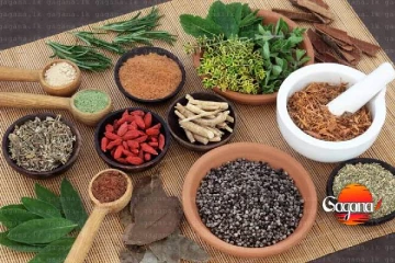 දේශීය ආයුර්වේද ඖෂධ නිෂ්පාදනයට සඳහා අවශ්‍ය ඖෂධ ශාක හිඟයක්