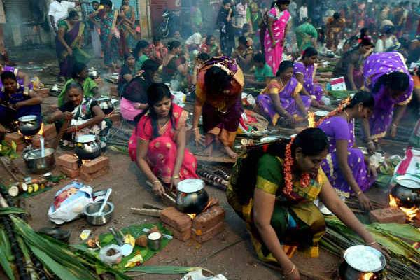 சூரியனுக்கு நன்றி செலுத்தும் தமிழர் பண்டிகை ; இனிய தைத்திருநாள் வாழ்த்துகள் | Tamil Festival Thanksgiving Happy Thaithiruna Day