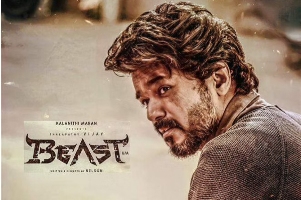 பீஸ்ட் கதை முடிந்தது.. மொத்த வசூல் இவ்ளோ தானா? முக்கிய இடத்தில் பெரிய நஷ்டம் | Beast Total Collection In Telugu