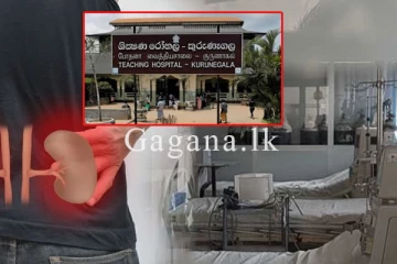 නොනවත්වා සිදු වූ වකුගඩු රෝගීන්ගේ මරණ ගැන ඇති වූ අලුත් සැකයක.