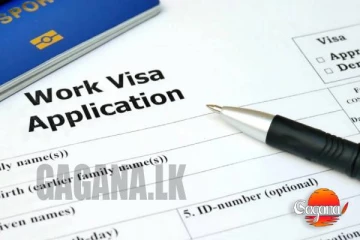 නවසීලන්තය ශ්‍රම හිඟයට නව වීසා දෙකක් හඳුන්වා දෙයි